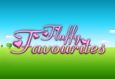 Fluffy Favourites