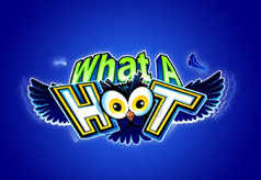 What A Hoot