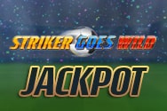 Stricker Goes Wild Jackpot Stricker Goes Wild Jackpot