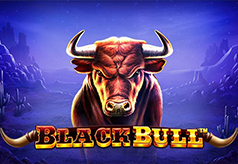 black-bull black-bull