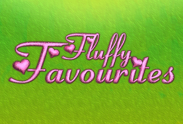 Fluffy Favourites